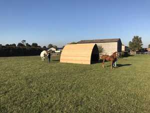 IMG_0172.JPEG